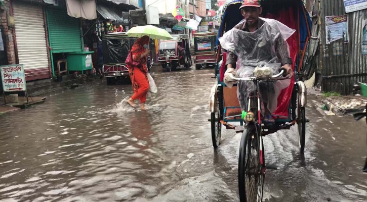 জোয়ারে দিনে দুবার ডুবছে সুন্দরবন, প্রাণীদের জন্য বানানো হবে টিলা